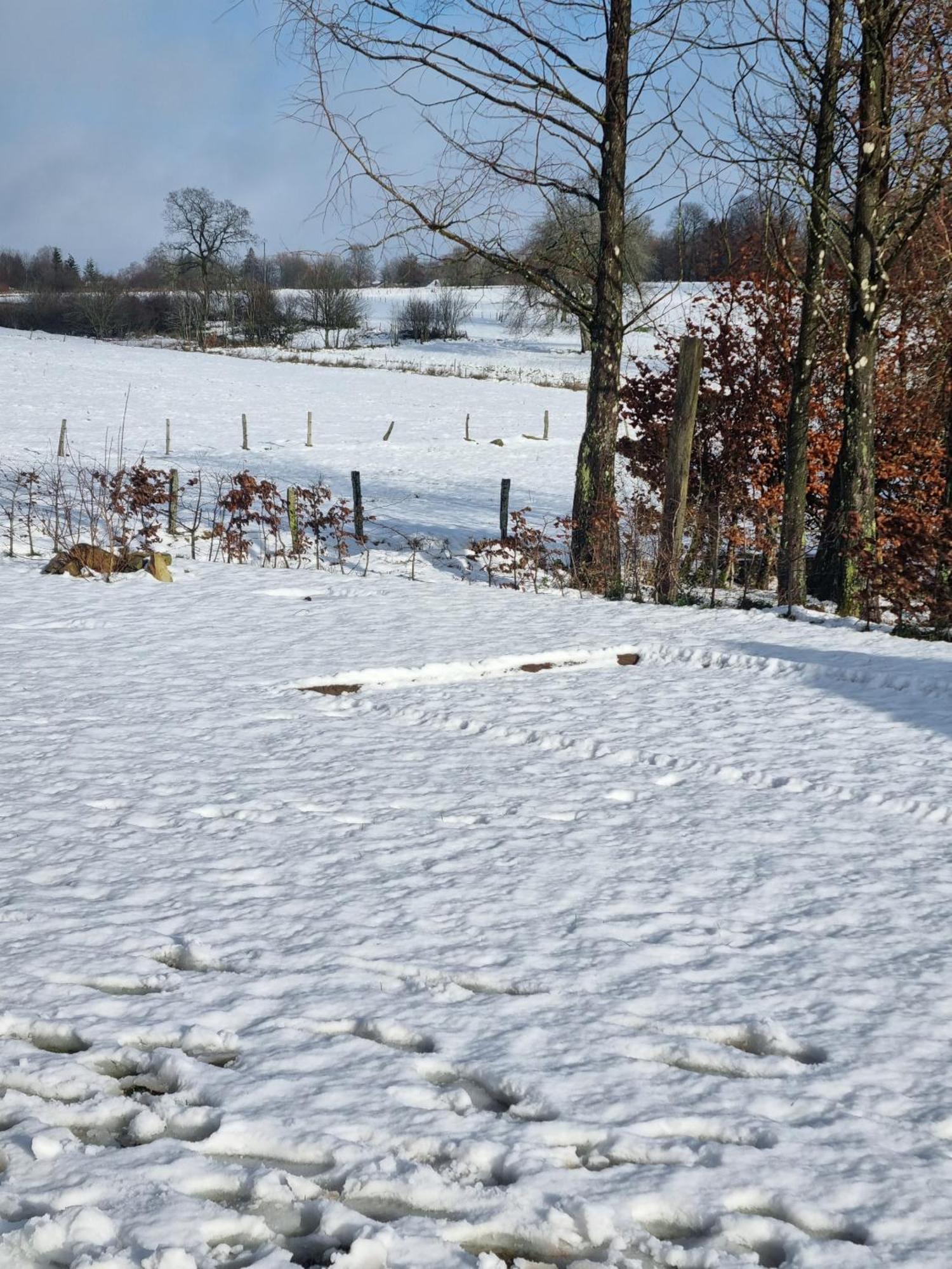 Gite Les 3 Pierres Houffalize Esterno foto